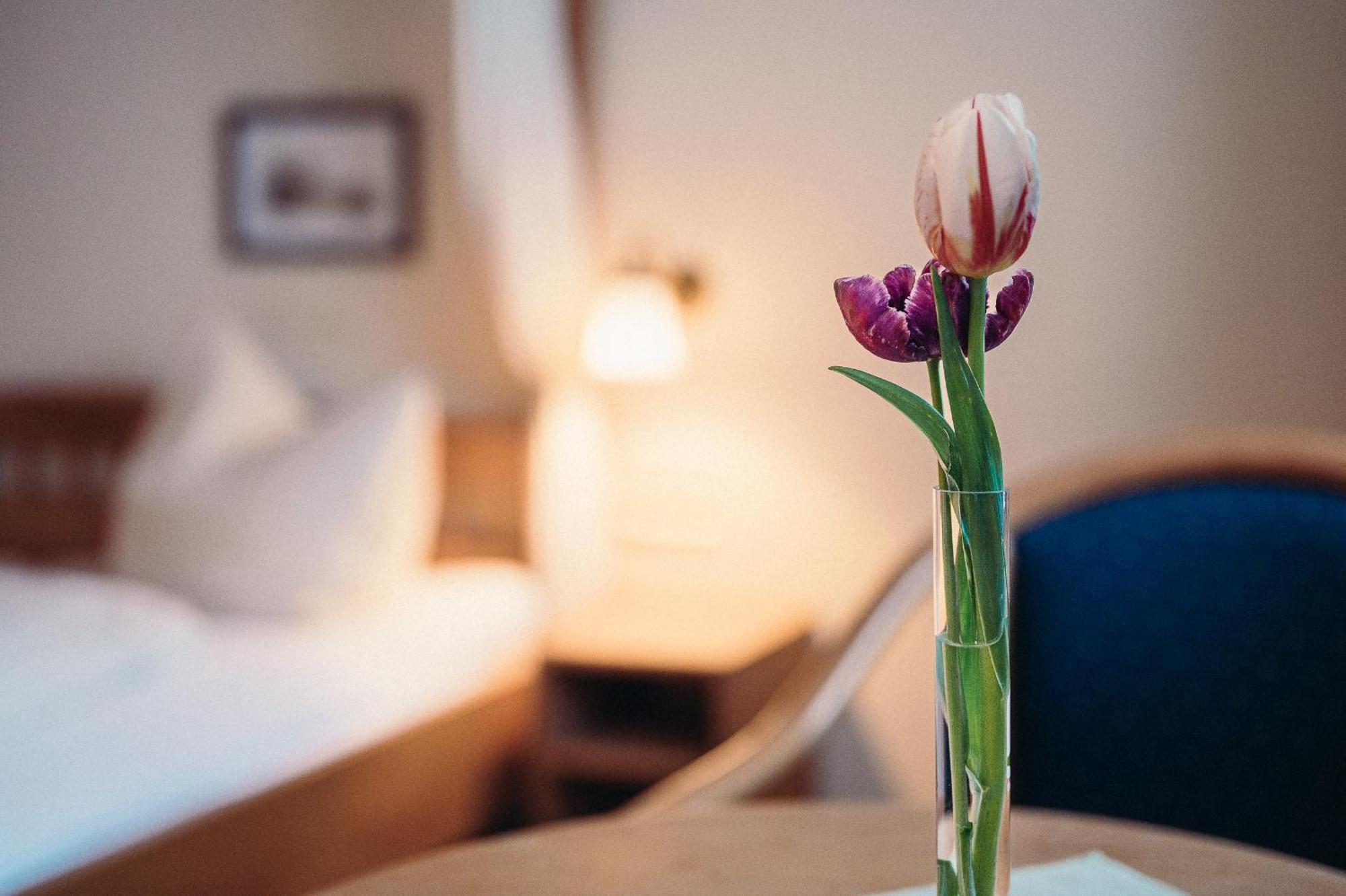 Hofgut Himmelreich Hotel Kirchzarten Eksteriør billede